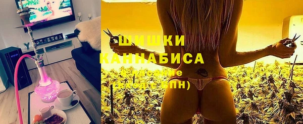 мдпв Мегион